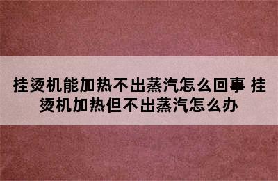 挂烫机能加热不出蒸汽怎么回事 挂烫机加热但不出蒸汽怎么办